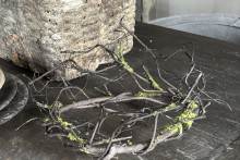 Kunst Wilgenkrans S